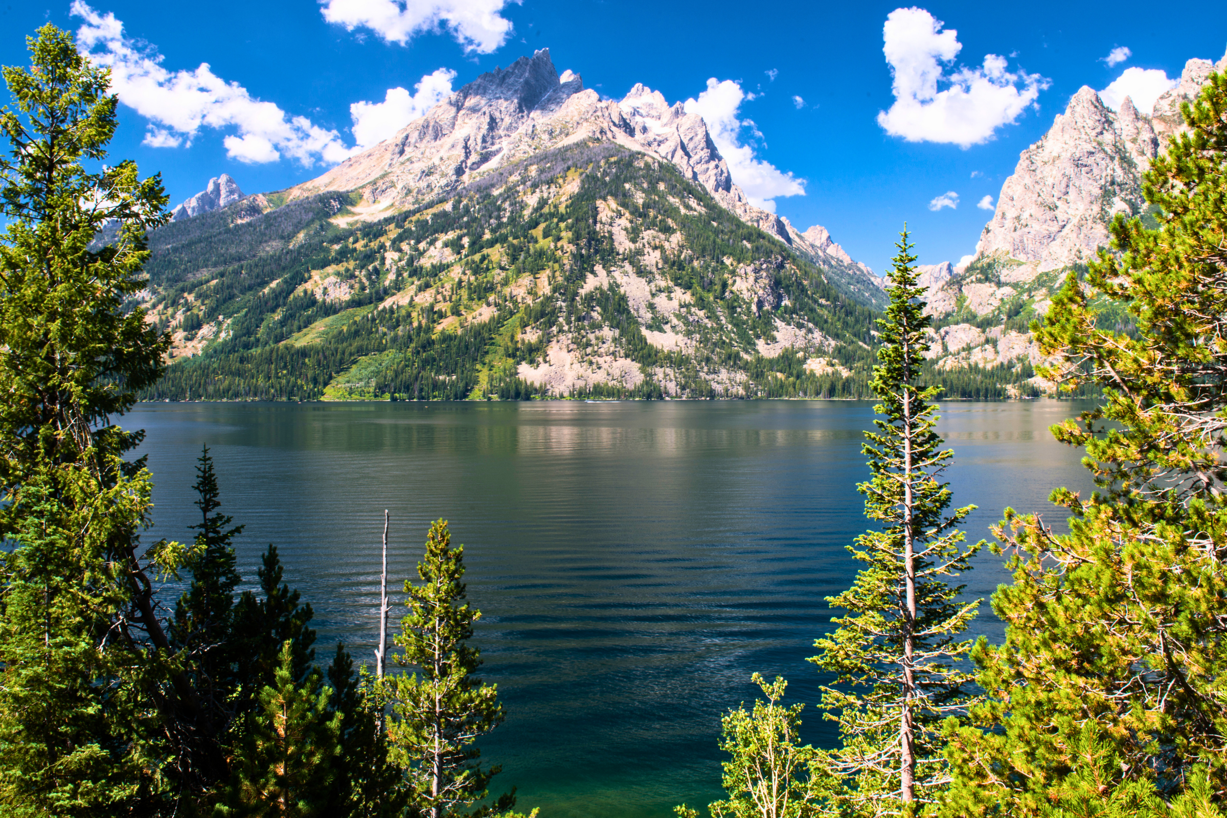 grand teton national park, wyoming (2).webp